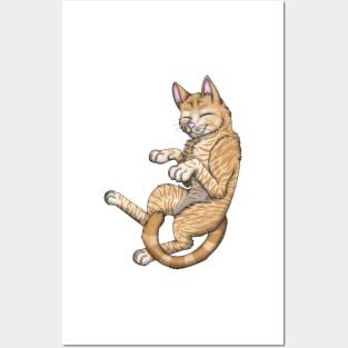Cream Tabby Shorthair Posters and Art